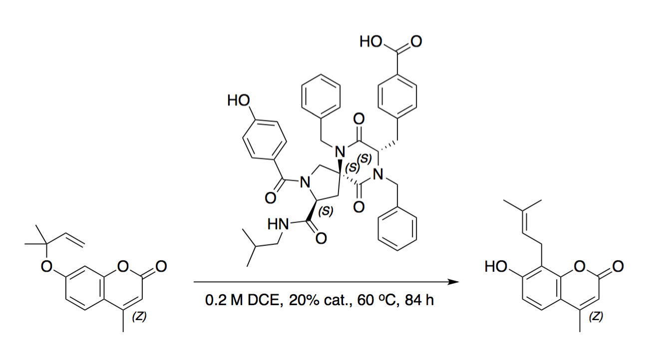 Aromatic Claisen rearrangement with a spiroligozyme