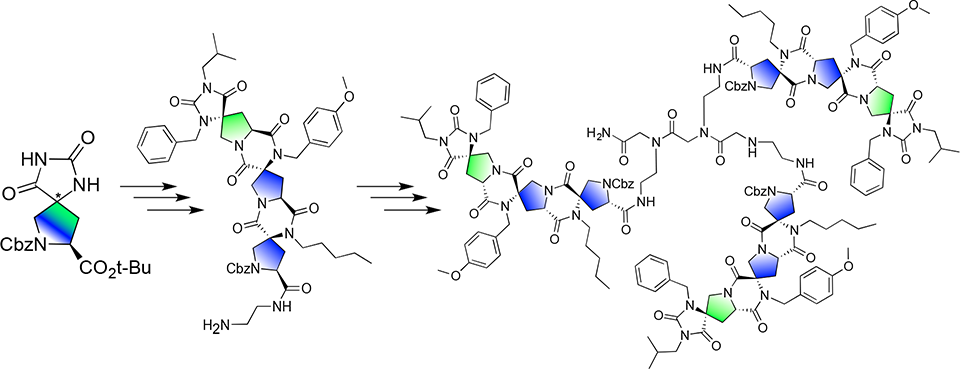Synthesis progression from a hydantoin building block to a spiroligomer trimer to the spiroligomer–peptoid hybrid SPH-5