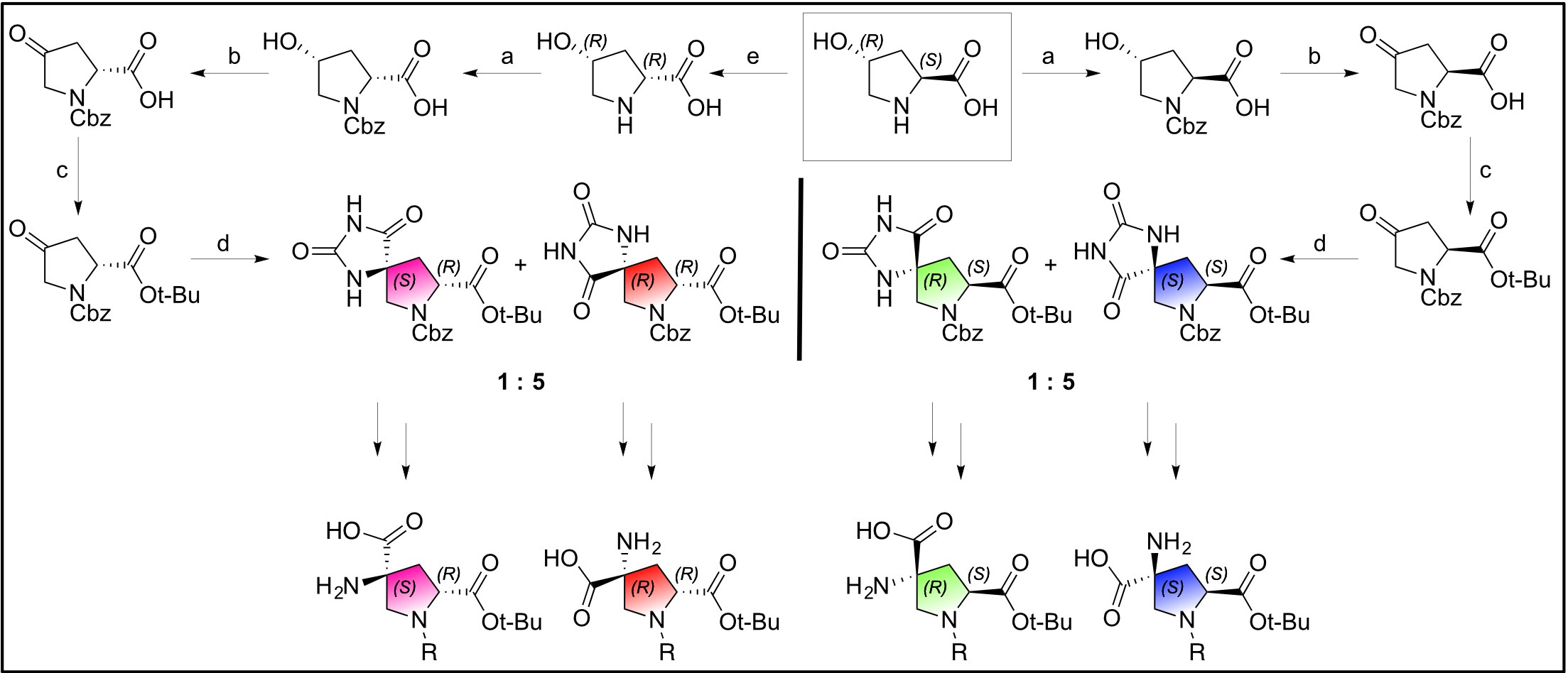 Synthesis of spiroligomer building blocks (bis-amino acids)